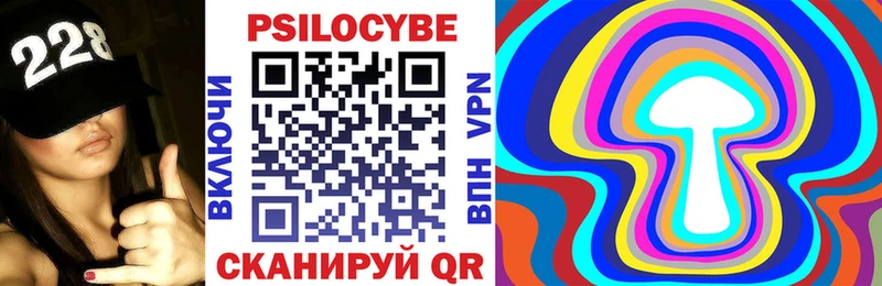 магазин  наркотиков  Аркадак  Галлюциногенные грибы Psilocybe 
